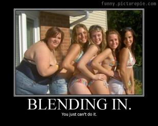 Blending_In